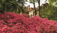 Springtime at Winterthur: Bus Tour During Peak Azalea Bloom